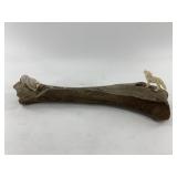 Two moose antler carvings with bear with fish and