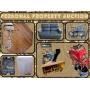 Personal Property Auction, Aug 13th