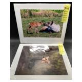 Pair of award winning Alaskan nature photographs