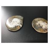 Pair of Ammonite fossils with. Approximately 3.5 i