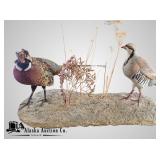 2 Taxidermied birds: Wing neck pheasant and a Chuk