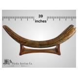 Juvenile mastodon tusk, heavily restored and recon