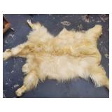 Goat hide with head, hooves, overall length 78" lo