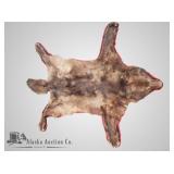 Nice wolf pelt, set on a red and black felt rug, 8