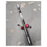 Fishing Rods w/ Spinning & Baitcast Reels (2)
