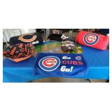 Bears and Cubs Lot