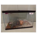 CRITTER TANK WITH LID