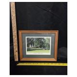 Photographic Print Titled 'FOAL'S FIRST DAY'