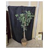 5' Artificial Plant
