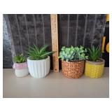(4) Faux Succulents - New