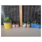 (6) Faux Succulents- New