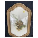 EARLY FRAMED CHIPMUNK PRINT