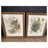 PR OF BIRD DIAGRAM PRINTS