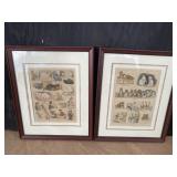 SKETCHES AT THE CAT SHOW