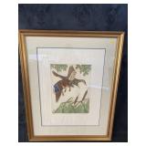 COMING IN WATERFOWL ENGRAVING