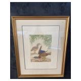 COURTSHIP OF THE WOOD DUCKENGRAVING