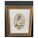 OVAL MATTED BIRD PRINT