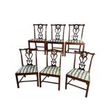 6 19TH CENT. SOLID MAHOGANY CHIPPENDALE CHAIRS
