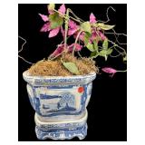 BLUE AND WHITE LARGE PLANT HOLDER ON STAND