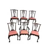 6 SOLID MAHOGANY CHIPPENDALE CHAIRS