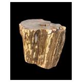 RARE CYPRUS PETRIFIED WOOD STUMP