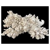 LARGE LARGE OCEAN SEA CORAL SCULPTURE