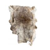 4FT 8IN X 3FT 7IN HYDE RUG