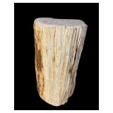 CYPRUS PETRIFIED WOOD PEDESTAL