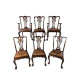 6 19TH CENT. SOLID MAHOGANY CHIPPENDALE CHAIRS