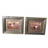 LOT OF 2 DUCK PRINTS