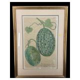 MELON DIAGRAM PRINT