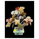 SMALL JADE TREE