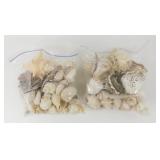 ** 2 Gallon Bags of Shells
