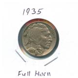 1935 Buffalo Nickel - Full Horn