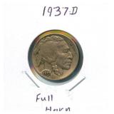 1937-D Buffalo Nickel - Full Horn