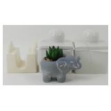 * New 2 Jars & Napkin Holder - Elephant Succulent