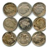 Group of 9 Roosevelt Silver Dimes