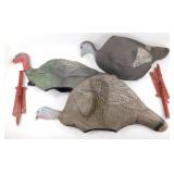 * Turkey Decoys