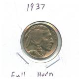 1937 Buffalo Nickel - Full Horn