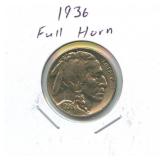 1936 Buffalo Nickel - Full Horn