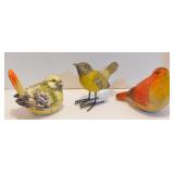 Birds