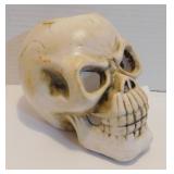 * Skull Dï¿½cor