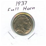 1937 Buffalo Nickel Full Horn