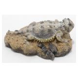 * Horny Toad Mount