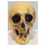 * Skull Dï¿½cor