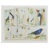 Arm & Hammer Bird Wildlife Trading Card Complete