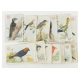 Arm & Hammer Bird Wildlife Trading Card Complete