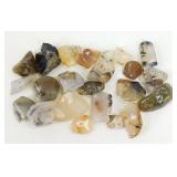 Montana Dendritic Agate Rocks