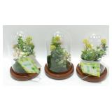 * 3 Light Up Dome Plants