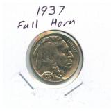 1937 Buffalo Nickel - Full Horn
